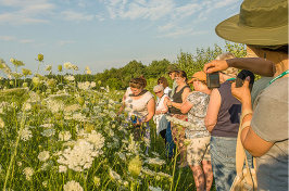 a Dover Open Lands Committee Bellamy Wildlife Walk led by Emma Tutein