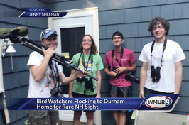 Birdwatchers in Durham