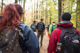 people walking through the wilderness