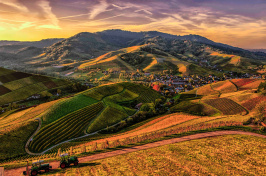 Image of rural farmland