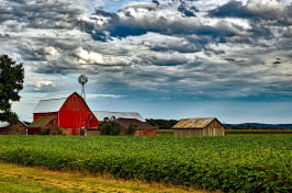 Image of a barn