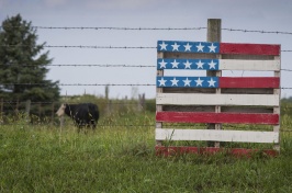 Photo of American flag in grassy field.