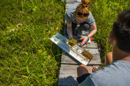 Researchers take a soil sample