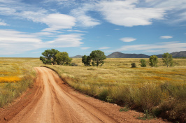 Image of a dirt country road