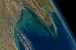 A satellite image of the Gulf of Mexico
