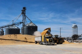 grain silos