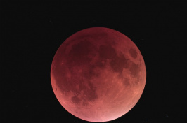 blood moon