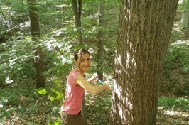 Woman bores small core from tree in forest.