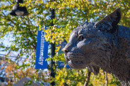 A photo of the UNH Wildcat statue
