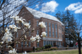 A UNH campus view in late spring