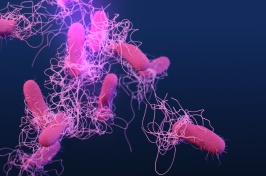 The Threat of Antibiotic Resistance