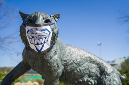 Wildcat statue wearing protective mask
