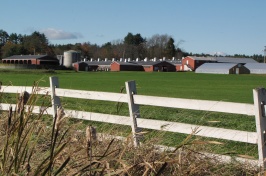 Fairchild Dairy Teaching and Research Center