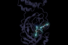 Scientific illustration of protease inhibitor