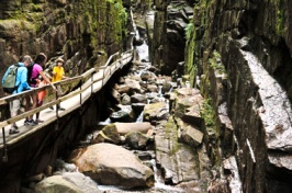 People visiting The Flume in Franconia Notch, NH.