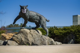 Wildcat statue with mask