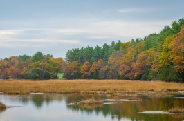 Great Bay in fall