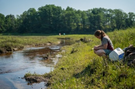 Woman sits by river bank taking notes.