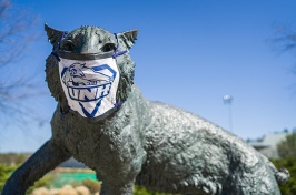 UNH Wildcat statue with facemask on 