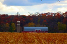 Farm in Wisconsin