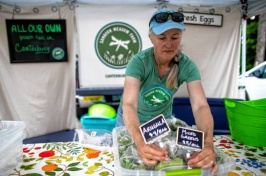 Image of a person running a stand at a local farmer's market