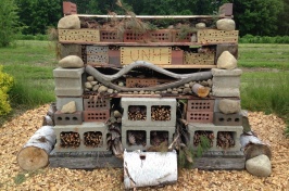 Bee Hotel