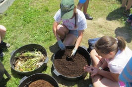 Compost