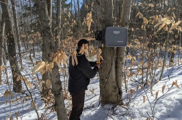 Experiment Station Presents Specialty Syrup Research Field Day