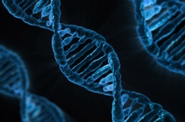 UNH Researchers Discuss New DNA-Editing Technology at Science Café March 1