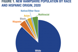 NH by Race and Hispanic Origin, 2020