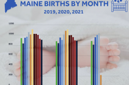 A graphic from the maine CDC showing birth rates from 2019-2021