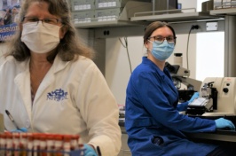 UNH Veterinary Diagnostic Lab Safeguarding Animal and Public Health in State, Region
