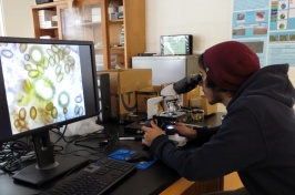 Mice and Mushrooms: Non-Picky Eaters More Effective at Spreading Spores than Previously Thought