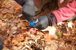 Taking soil samples