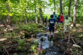 Students and teacher in a wooded stream