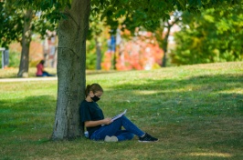 student sitting under tree reading 