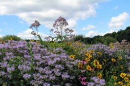 UNH Hosts Greenhouse Open House March 23-24