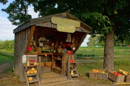 A photo of a farmers' stand, which is an example of an alternative food network