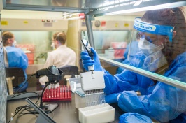 Researcher in full PPE works beneath a hood