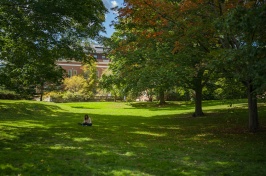 Campus in fall