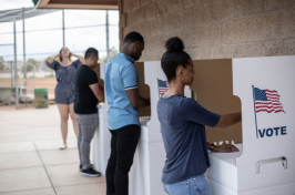 Image of people at voting booths