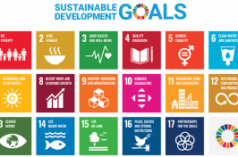 image of un sustainability goals