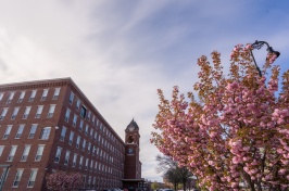 UNH Manchester building in springtime