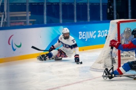 Sled hockey player behind goal