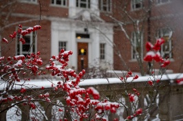 campus in winter