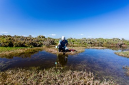 A researcher in the field tests water sampling while taking into consideration the potential environmental impacts of his research.