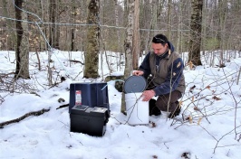 Researcher David Moore collecting sap from beech trees in a forested area. Snow covers the ground. David crouches next to a bucket.
