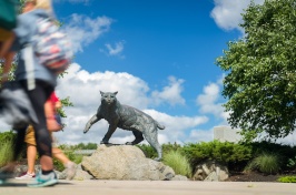 students walking by the Wildcat statue