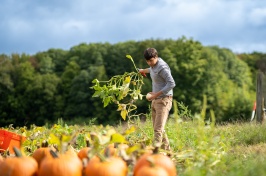 Researcher stands in a pumpkin patchh