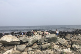 Educators in Last Summer's NEH-Funded Workshop Visit Odiorne Point